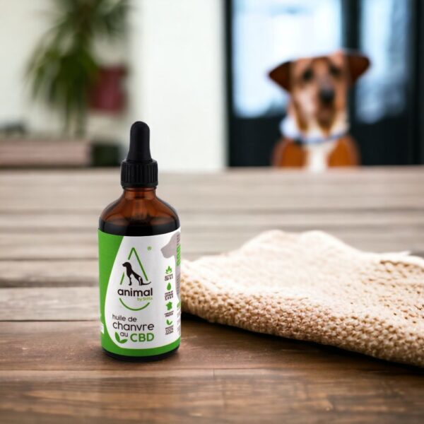 Huile pour Animaux 2% de CBD – Image 2